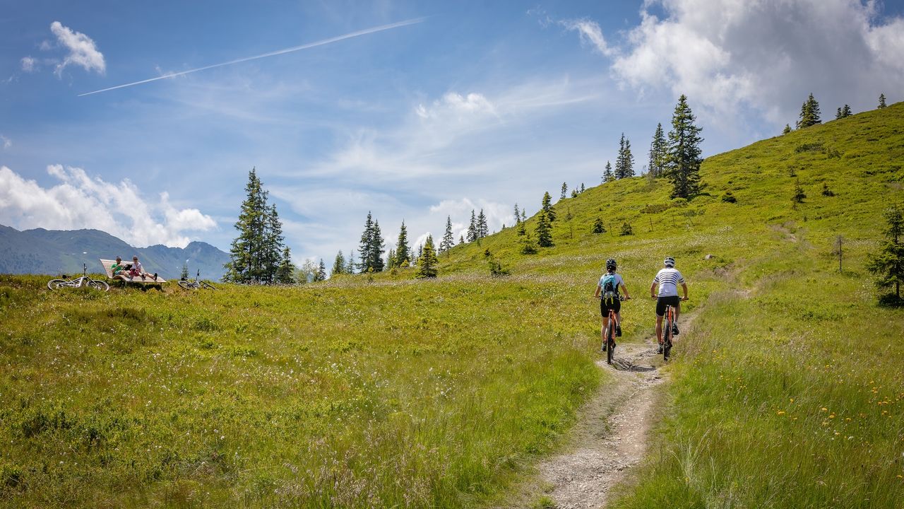 AreaSummer5KM AreaSummer5KM